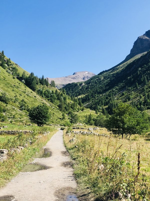 Quelle est la meilleure manière de traiter naturellement l'hyperkeratose pilaire (peau de poulet)?